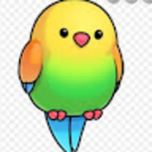 Meet your Posher, Cedar